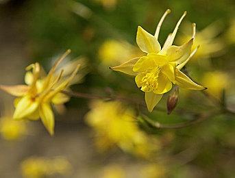 Xbox神秘系列游戏可能要花费10年时间来开发